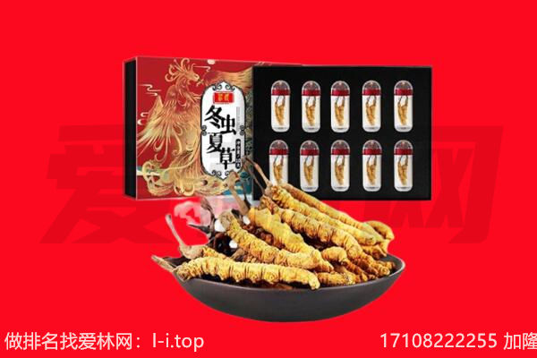 武汉市武昌回收虫草.jpg